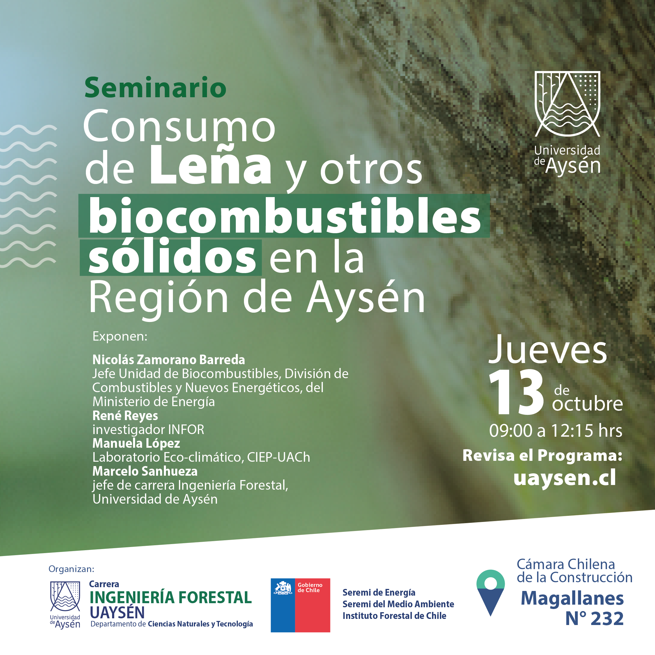 Seminario “CONSUMO DE LEÑA Y OTROS BIOCOMBUSTIBLES SÓLIDOS EN LA REGIÓN DE AYSÉN”