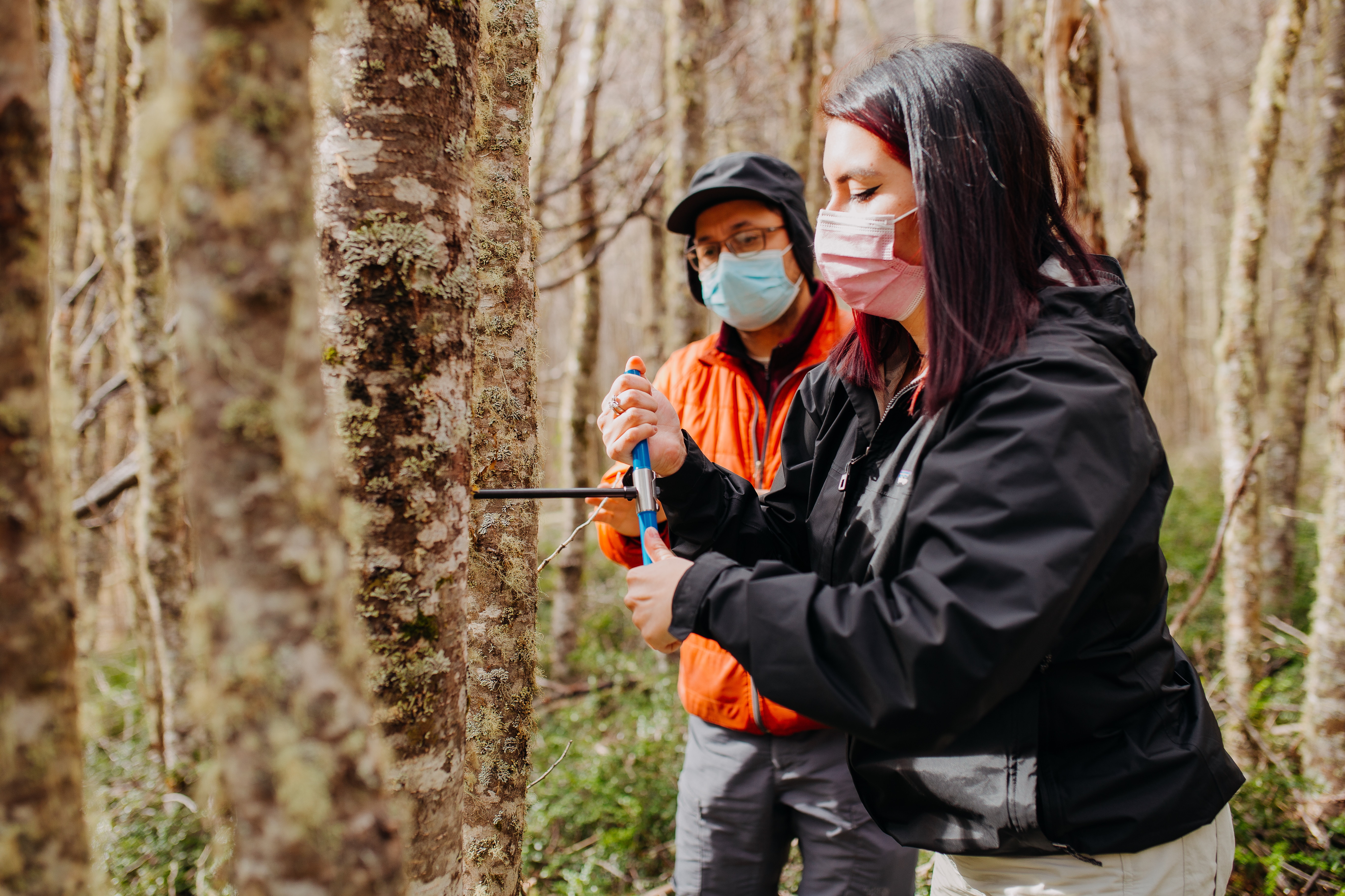 Formando profesionales comprometidos con el medioambiente y el manejo sustentable de los recursos naturales