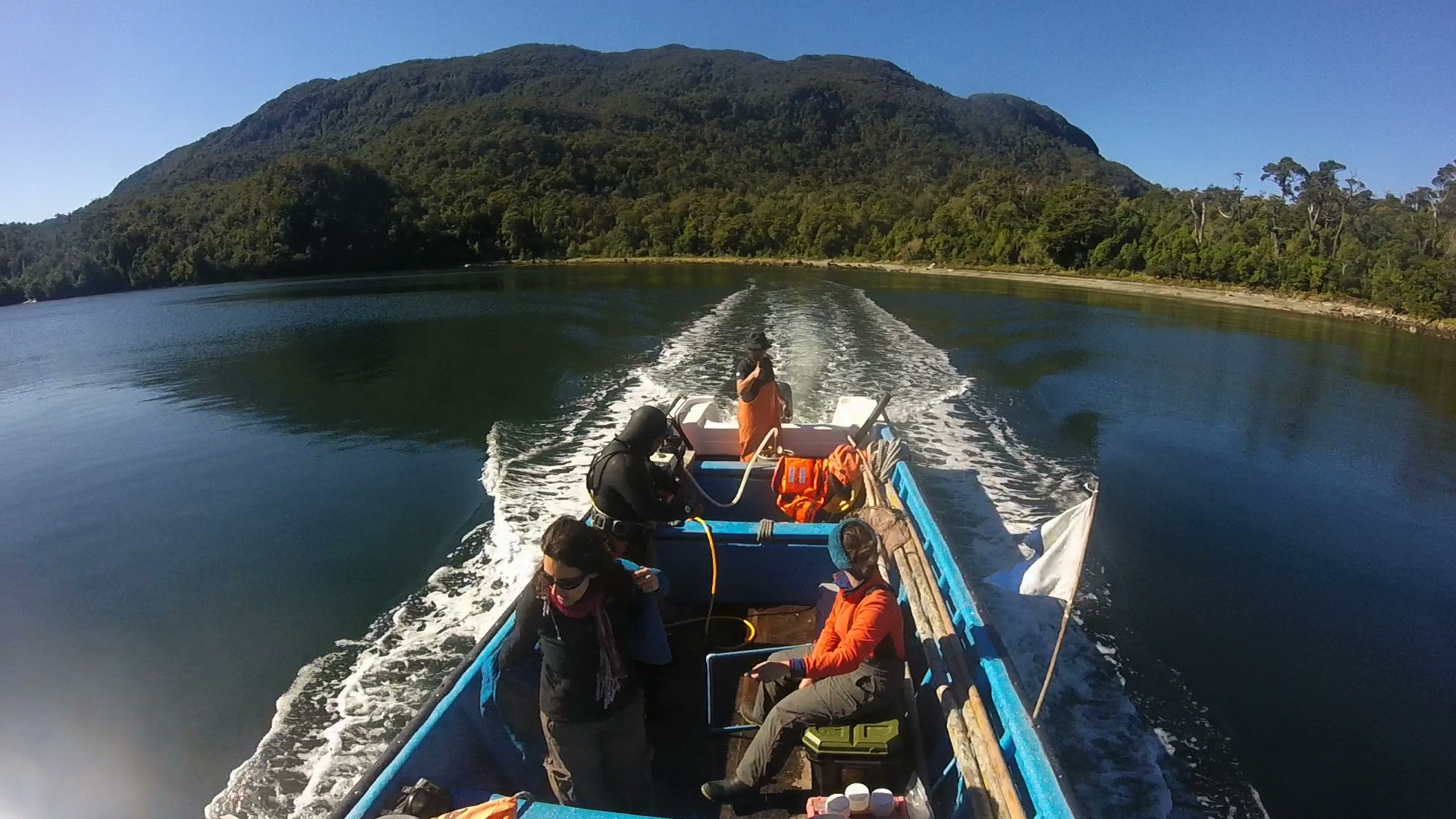 Con foco en ampliar el acceso a la información científica avanza proyecto Nodo Ciencia Austral