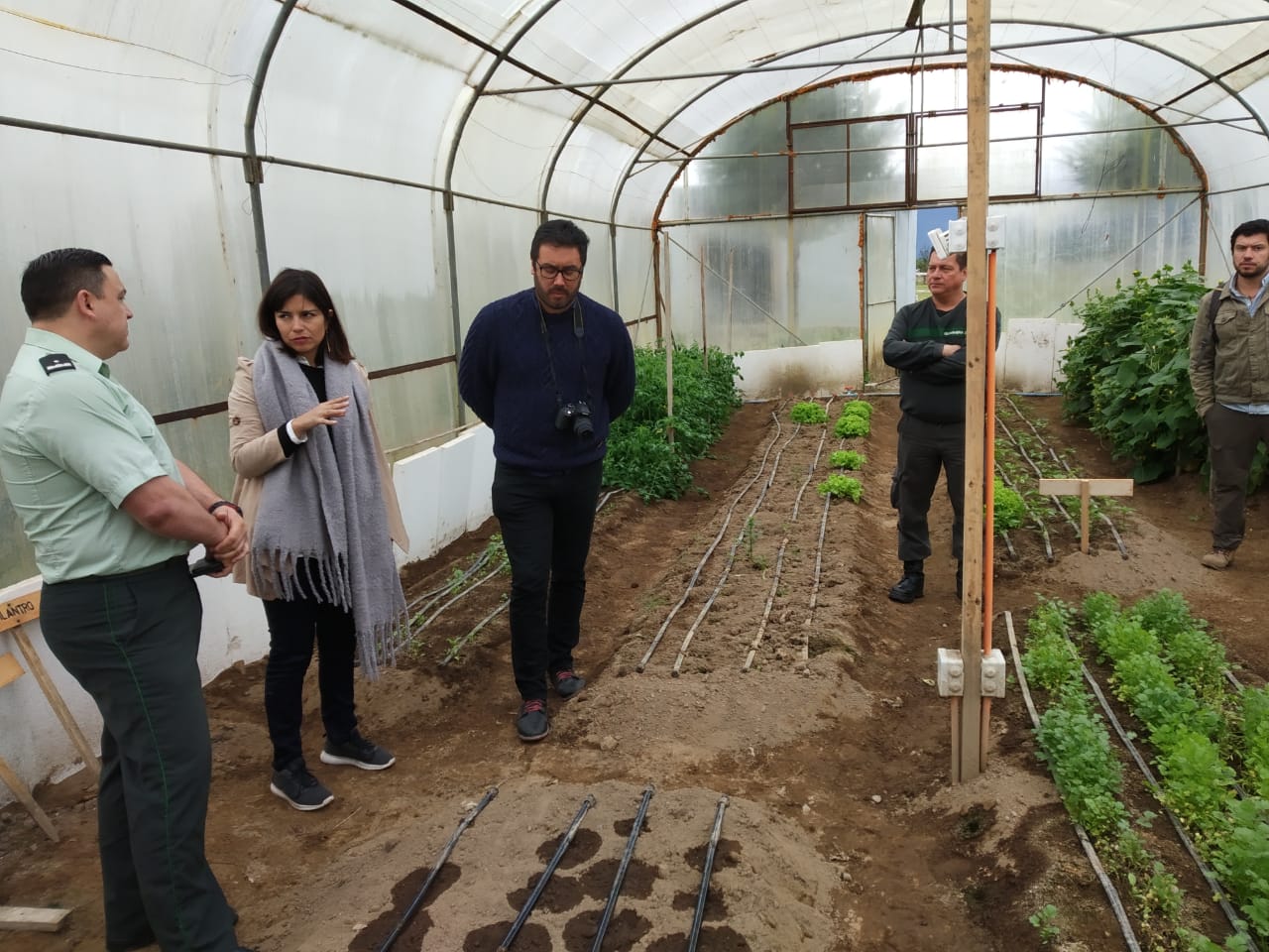 Académico Universidad de Aysén participa en proyecto de investigación que busca sistematizar los impactos del proyecto Invernadero Geotérmico de CET Valle Verde