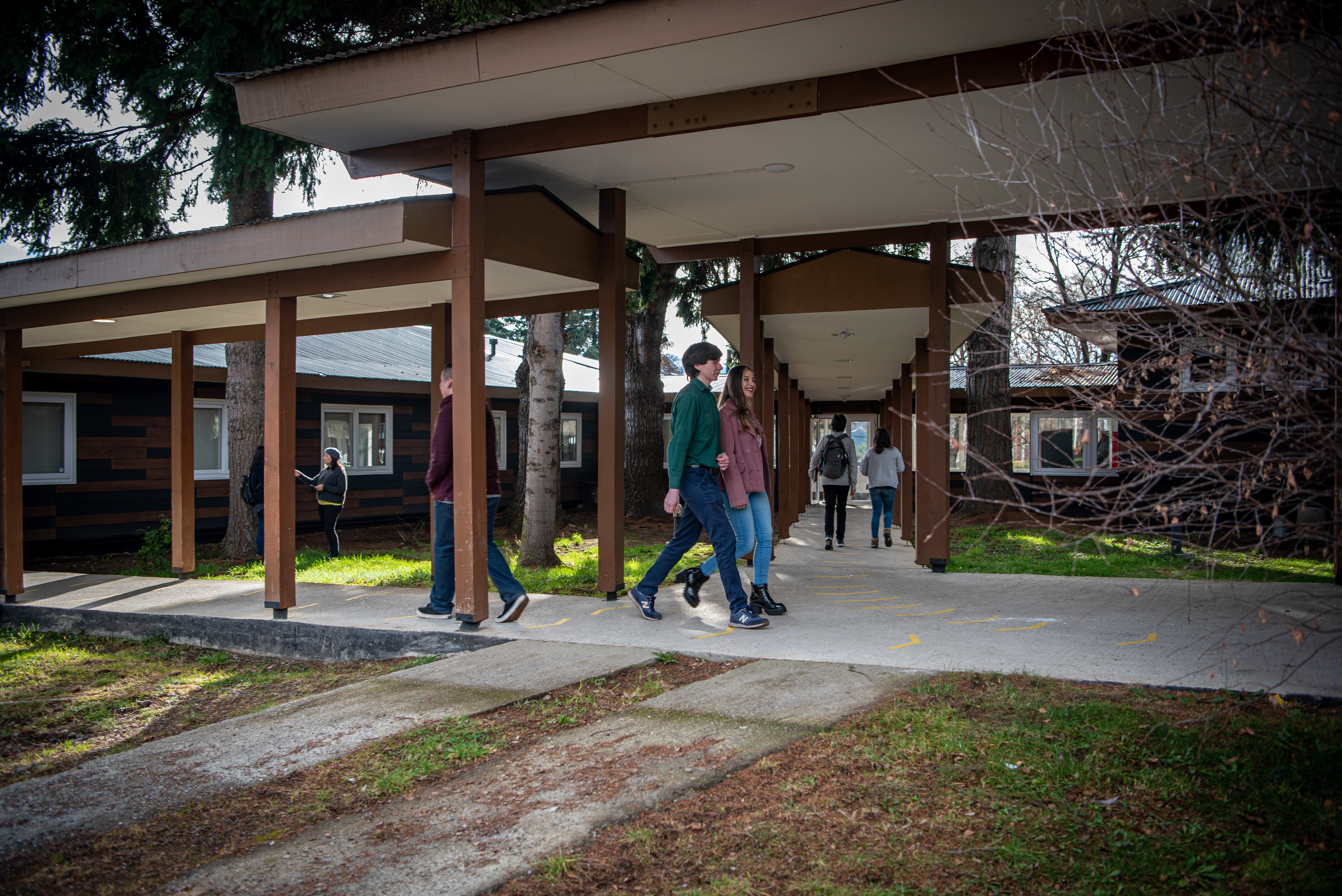 Universidad de Aysén obtiene su primera acreditación institucional